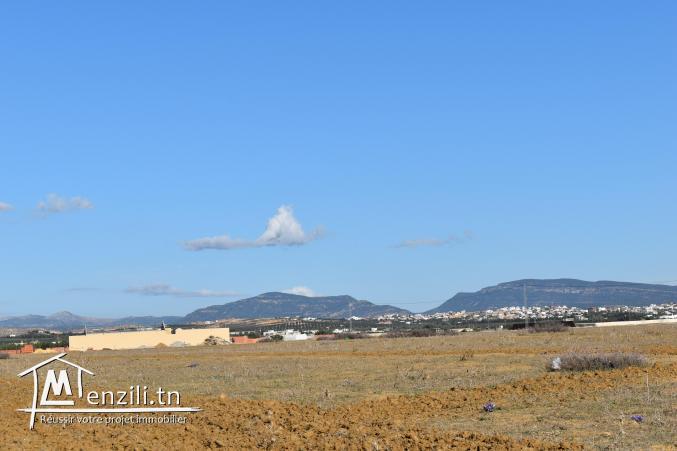 terrain à vendre 20.255.535