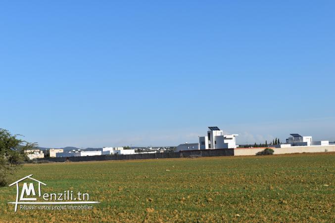 terrain à vendre 20.255.535