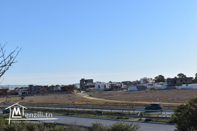 terrain à vendre 20.255.535