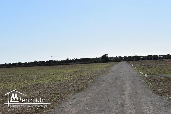 terrain à vendre 20.255.535