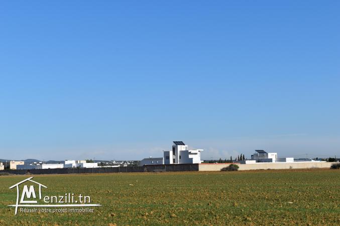 terrain à vendre 20.255.535