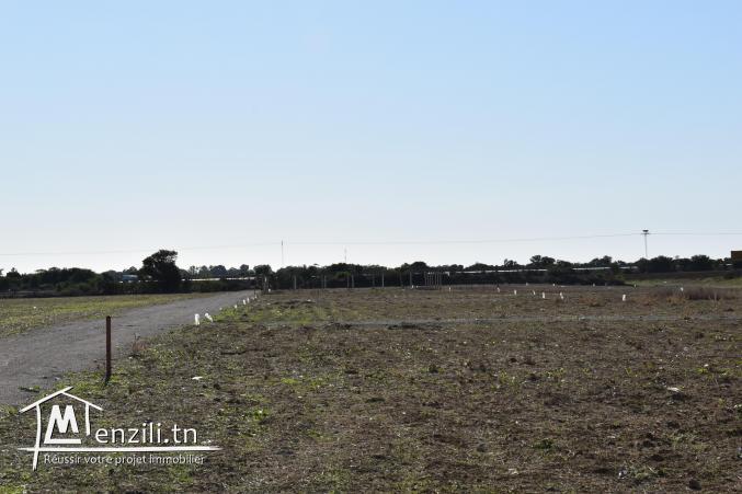 terrain à vendre 20.255.535