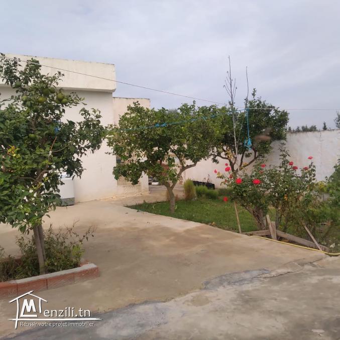 terrain à vendre 20.255.535