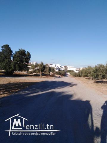 318 m² de Hammamet Yasmine a vendre