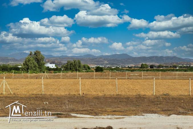 terrain à vendre 20.255.535