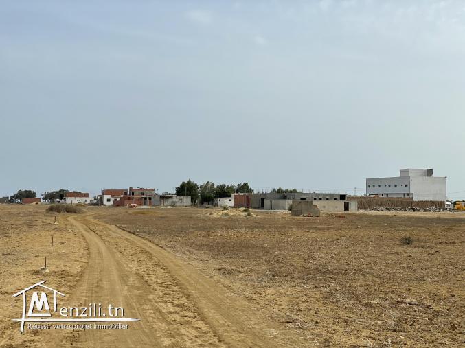 terrain à vendre 20.255.535