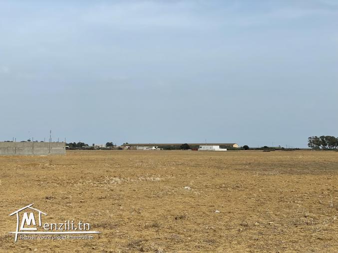 terrain à vendre 20.255.535