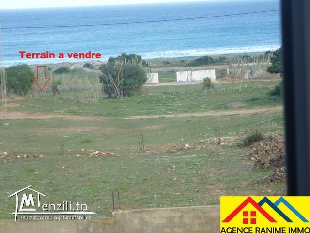 Lot de terrain de 267m2 a la plage el haouaria cap bon