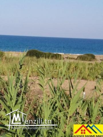 Lot de terrain de 267m2 a la plage el haouaria cap bon