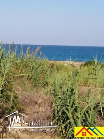 Lot de terrain de 267m2 a la plage el haouaria cap bon