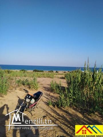 Lot de terrain de 267m2 a la plage el haouaria cap bon