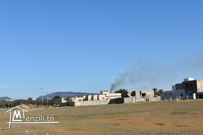 terrain à vendre 20.255.535