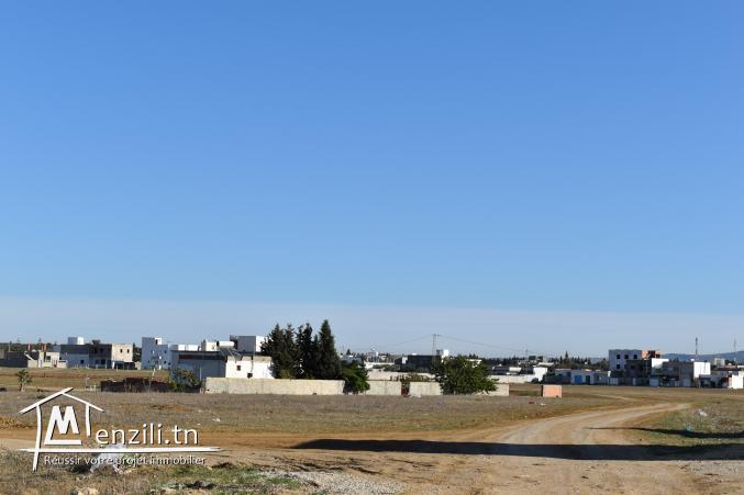 terrain à vendre 20.255.535