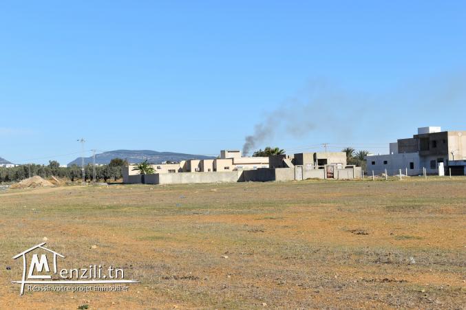 terrain à vendre 20.255.535