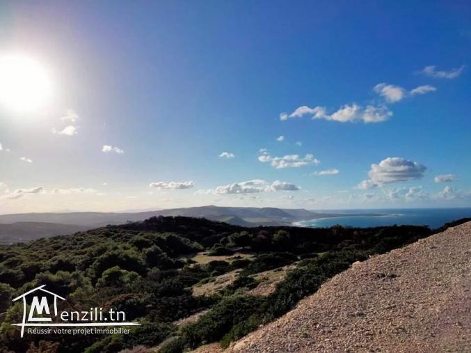 Terrain à Nadhour Bizerte