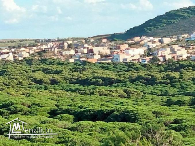 Terrain à Nadhour Bizerte