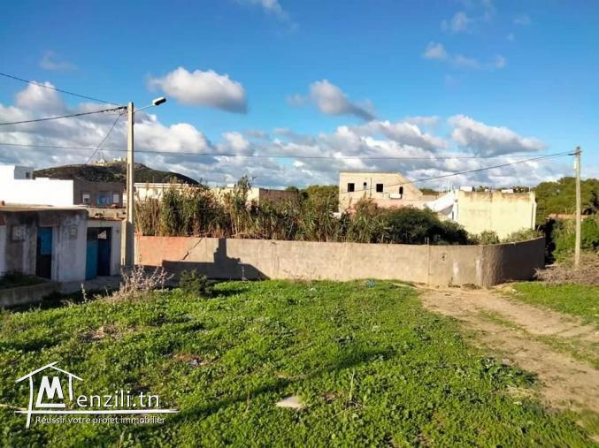 Terrain à Nadhour Bizerte
