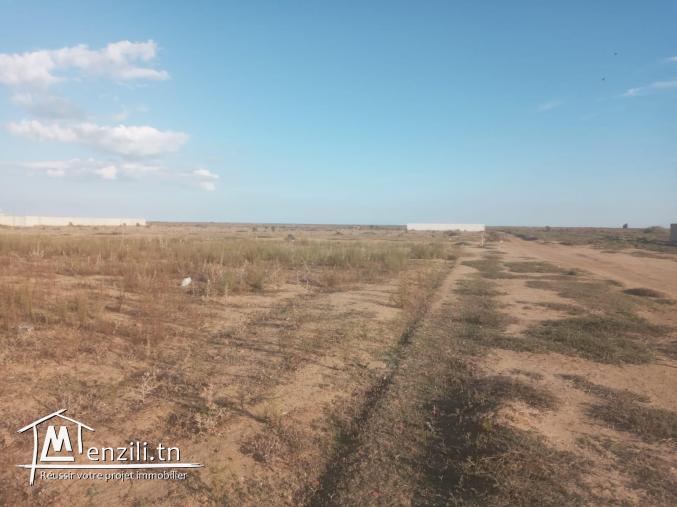 terrain à 300 mètre de la plage de bouficha