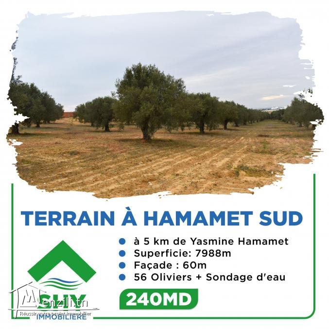 terrain à vendre 20.255.535