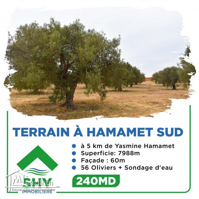terrain à vendre 20.255.535