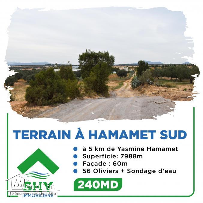 terrain à vendre 20.255.535