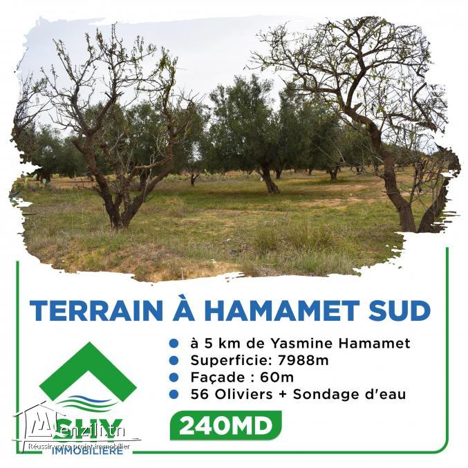 terrain à vendre 20.255.535