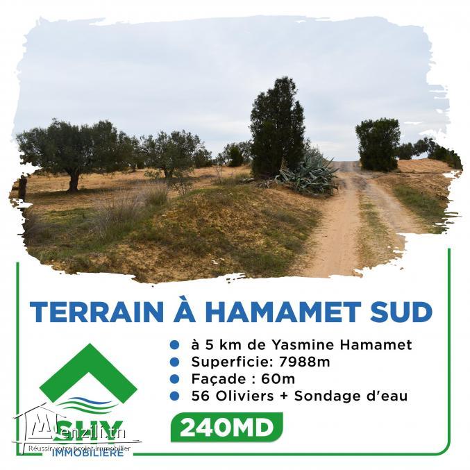 terrain à vendre 20.255.535