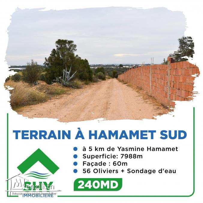 terrain à vendre 20.255.535