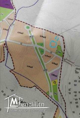 Terrain à vendre a cite yassine 
