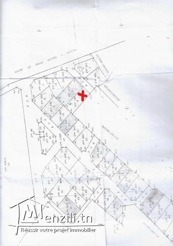 terrain avec titre bleu ????