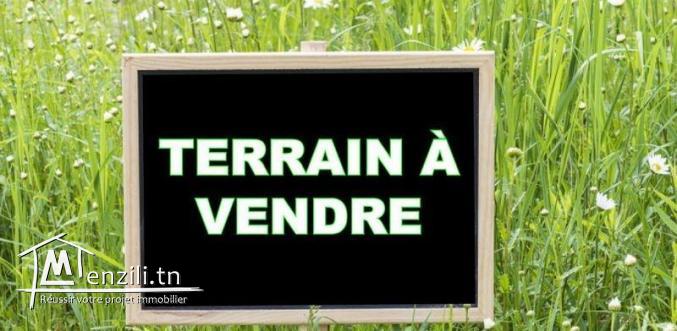 terrain constructible de hammamet yasmine