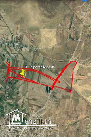 A vendre un terrain à Henchir Bou Hanech