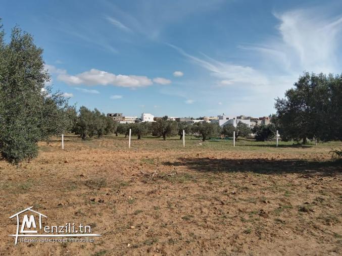 300 m² constructible de hammamet yasmine