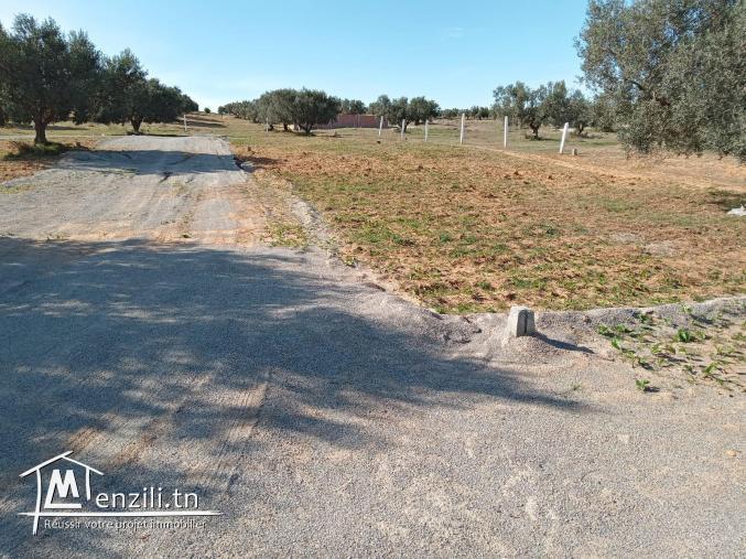 300 m² constructible de hammamet yasmine