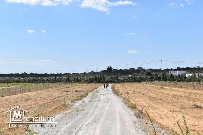 terrain à vendre 20.255.535