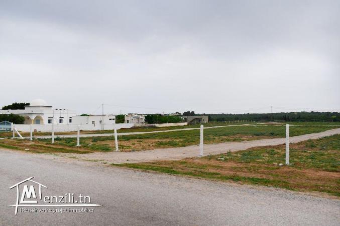 terrain à vendre 20.255.535