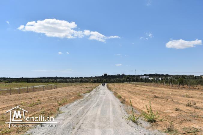 terrain à vendre 20.255.535