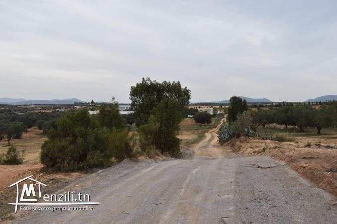 terrain à vendre 20.255.535