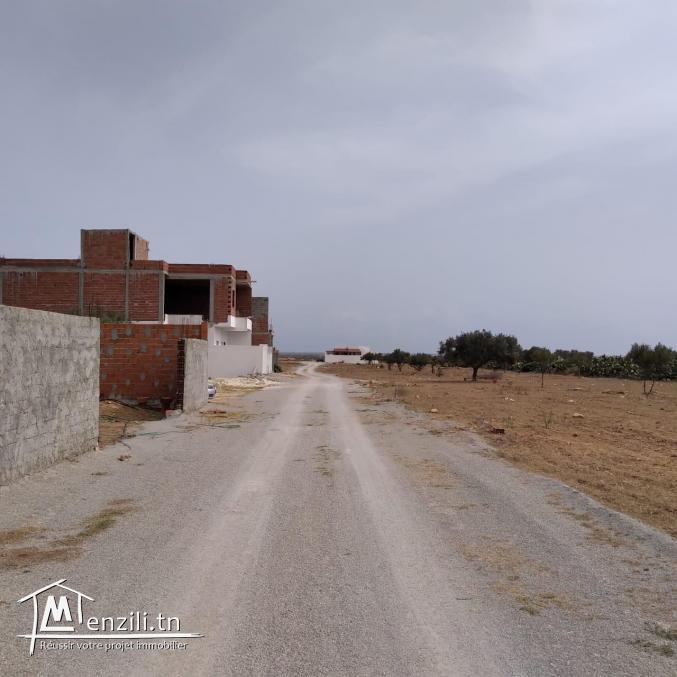 terrain à vendre 20.255.535