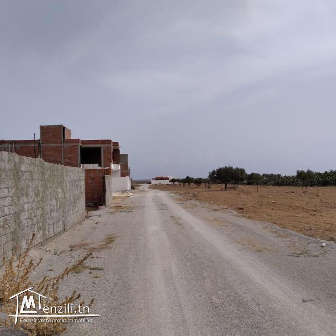 terrain à vendre 20.255.535