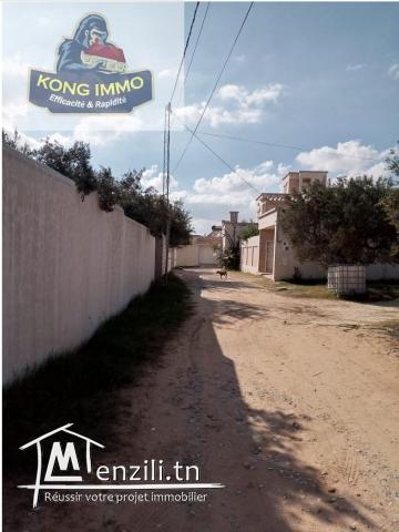 des lots terrains viabilisée a vendre de hammamet nord