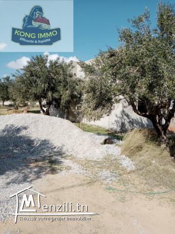 des lots terrains viabilisée a vendre de hammamet nord