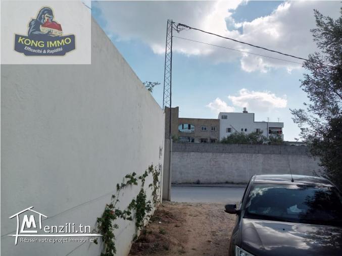 des lots terrains viabilisée a vendre de hammamet nord