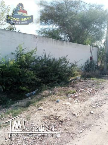 des lots terrains viabilisée a vendre de hammamet nord