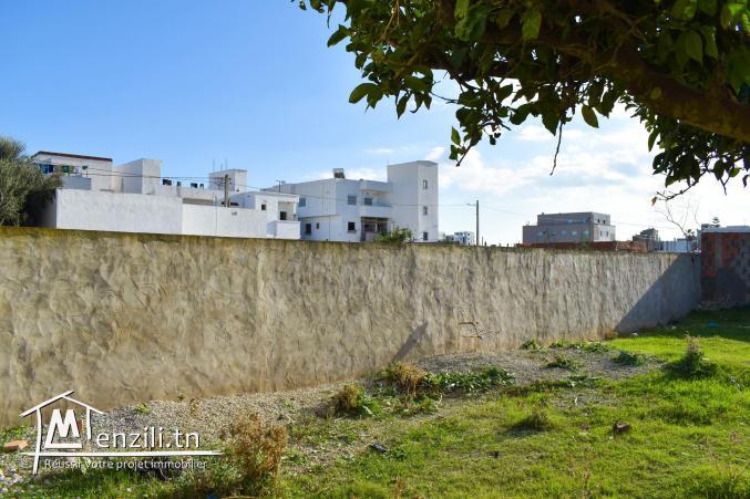 terrain à vendre 20.255.535