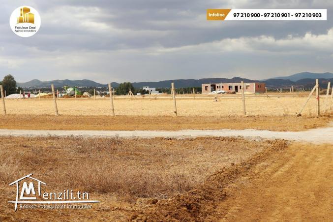 تقسيم  اليوم