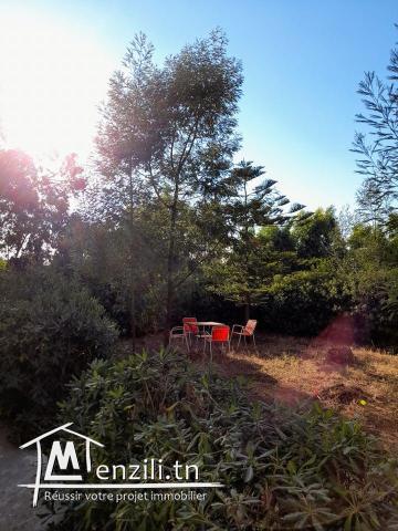 A louer maison de vacances à Tabarka