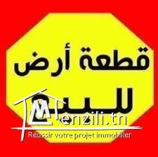 أرض على الطريق الوطنية تونس الحمامات الياسمين