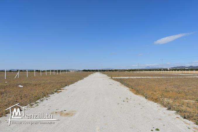 terrain à vendre 20.255.535