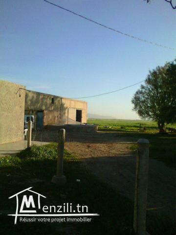 مزرعة للبيع